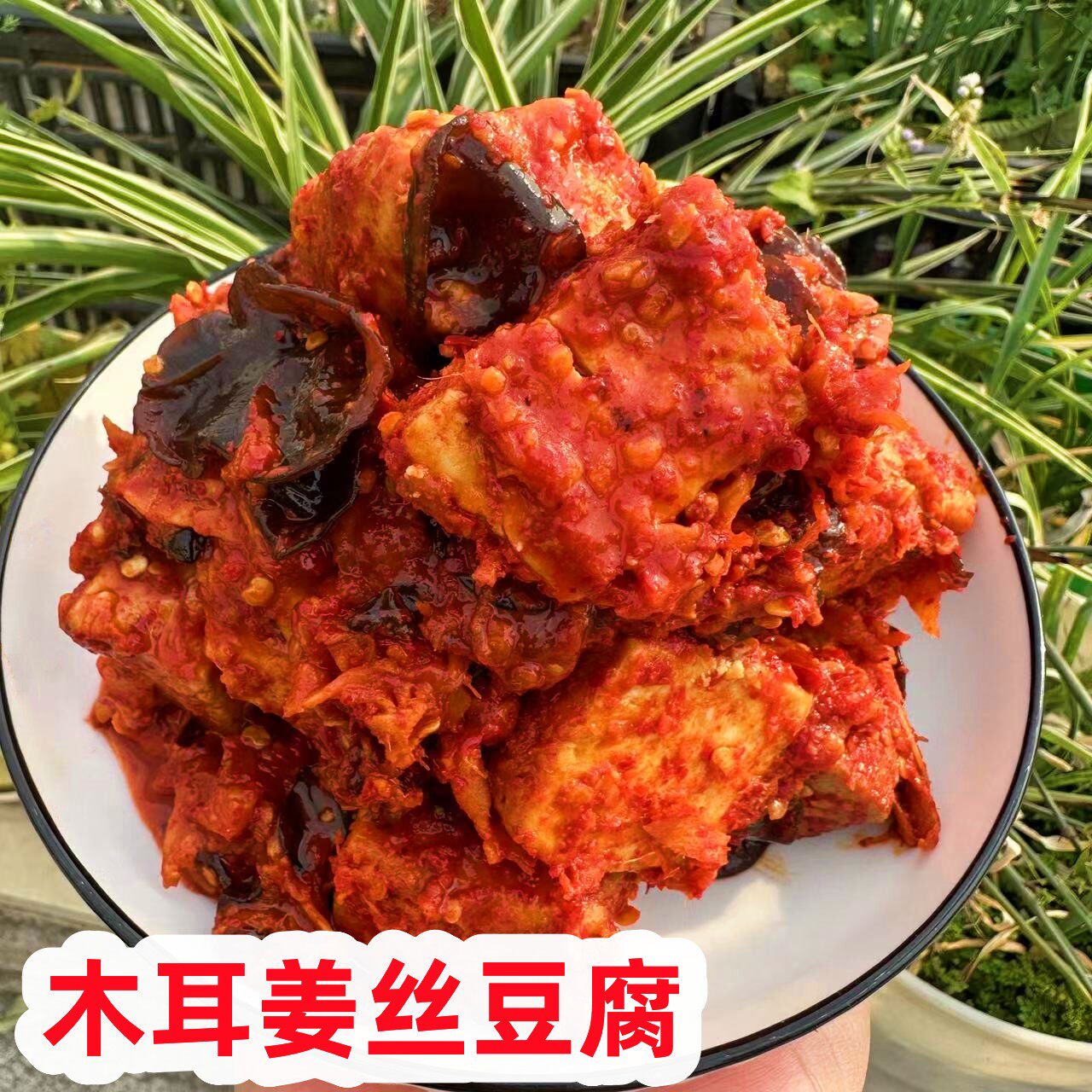 云南特产木耳姜丝豆腐乳麻辣卤腐正宗毛霉豆腐红方下饭菜香辣腐乳