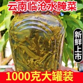 傣味腌菜云南临沧耿马特产傣族菜花菜苔长条泡菜下饭菜佤族酸菜