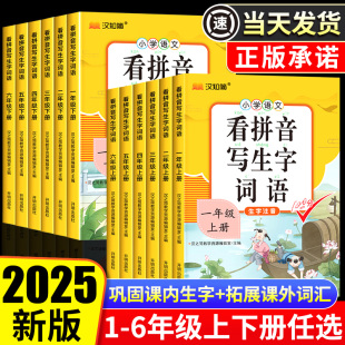 看拼音写词语一年级二年级上册下册三四五六年级人教版 小学语文练习册每日一练同步训练生字注音练习拼音拼读专项强化训练同步训练