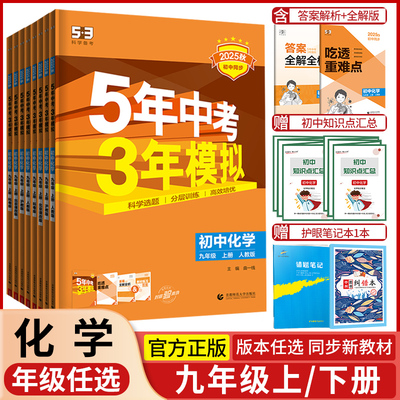 2025秋九年级化学53初中同步