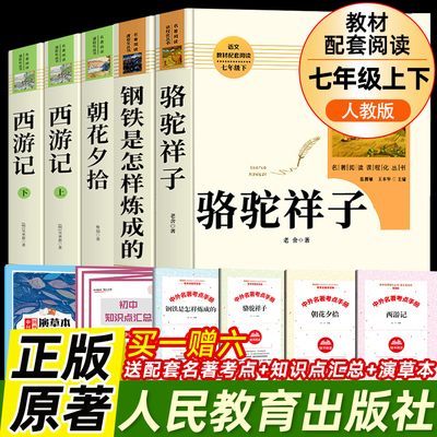 骆驼祥子和钢铁是怎样炼成的