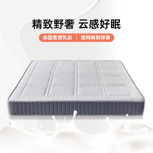 经济型环保23cm定制席梦思床垫