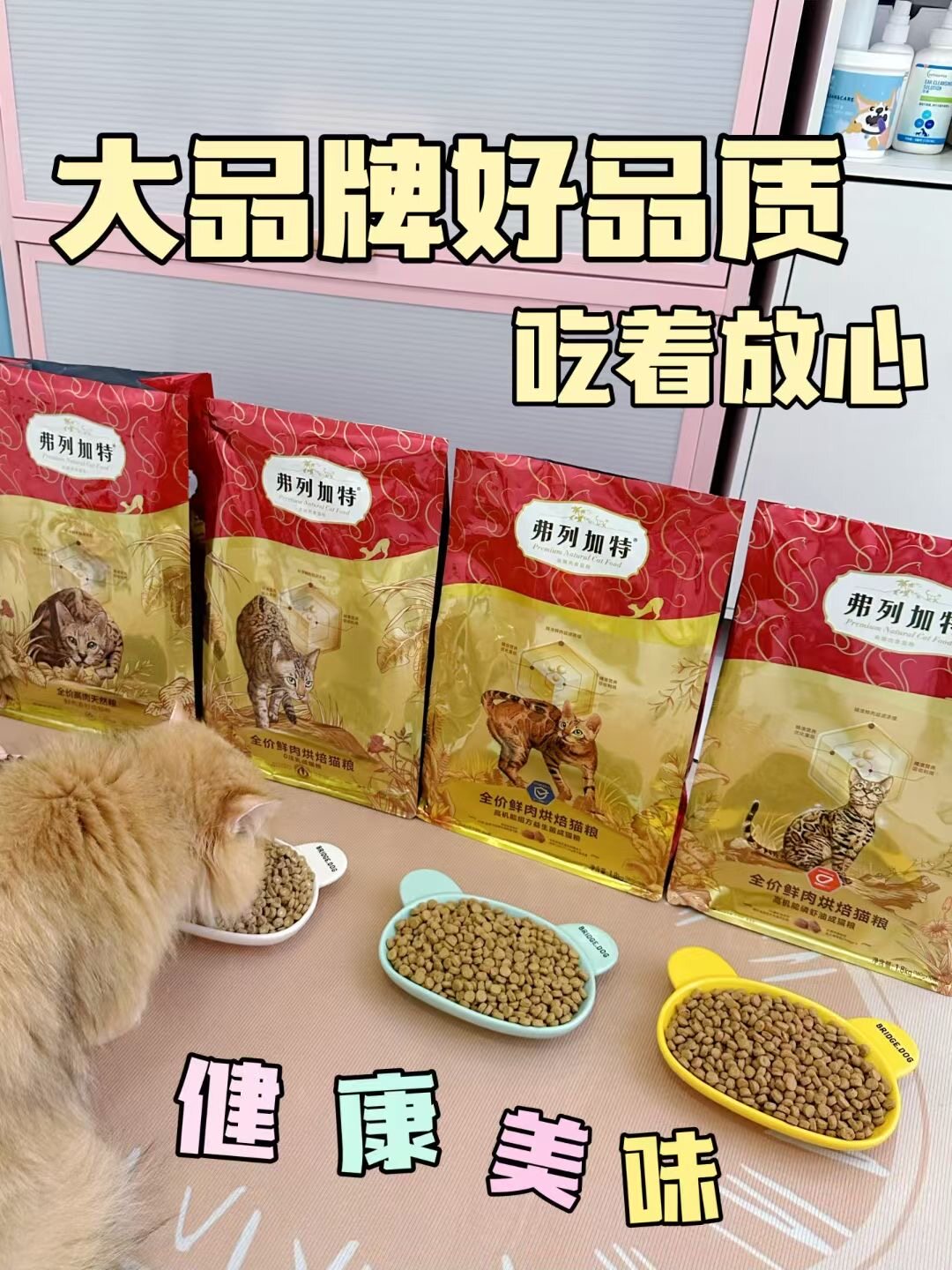 弗列加特烘焙猫粮0乳糖低温烘焙鲜肉精准营养烘焙猫粮80鲜肉猫粮