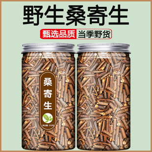 野生桑寄生中药材饮片正品旗舰店中药抓配决明子干桑寄生500g茶粉