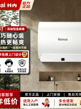 Rinnai/林内 DSG60-DE19PN电热水器家用速热储水式60L免换镁棒