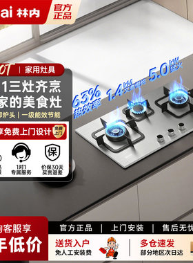 林内63热效率三眼燃气灶