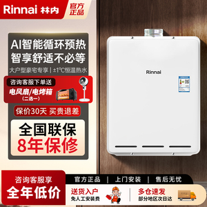 林内燃气热水器32升强排式