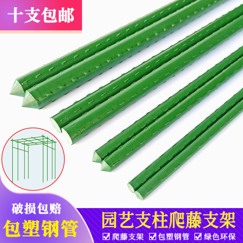月季爬藤架植物支撑杆葡萄西瓜小番茄黄瓜豆角蔬菜爬藤杆包塑钢管