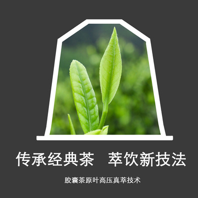 全系胶囊茶委托加工六大茶类