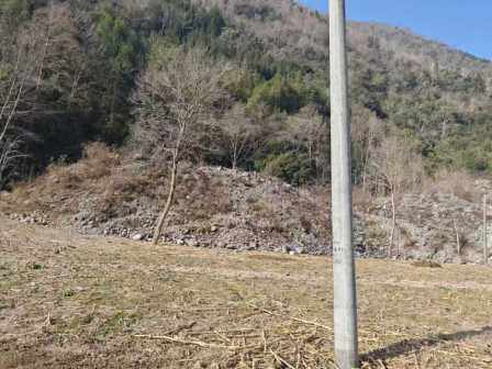 3月10日绵阳沙石弃料网络拍卖公告