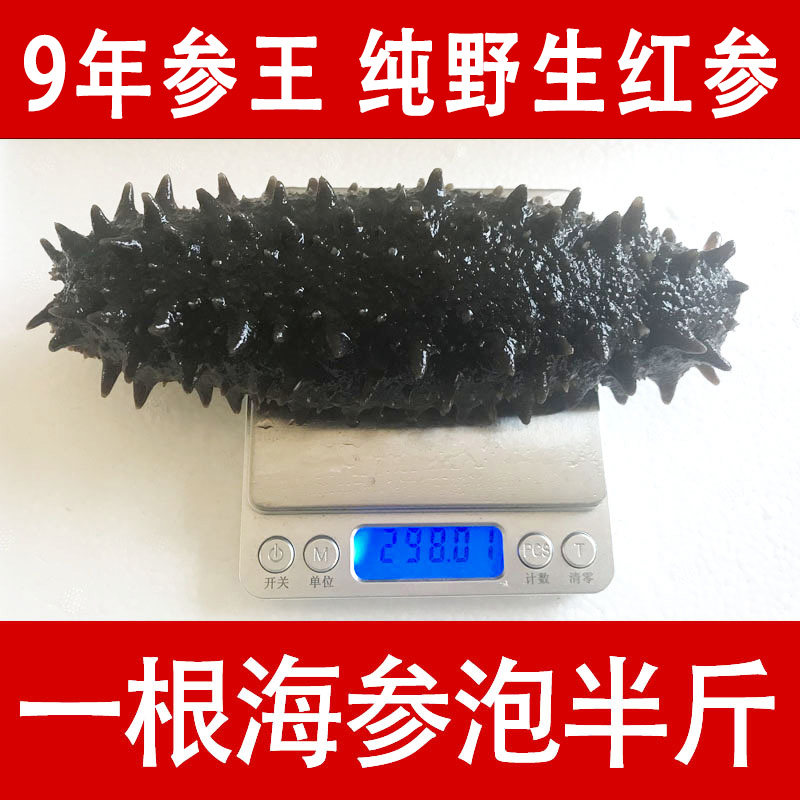 俄罗斯纯野生海参干货孕妇超大特大淡干辽参刺参水产250克15-20头