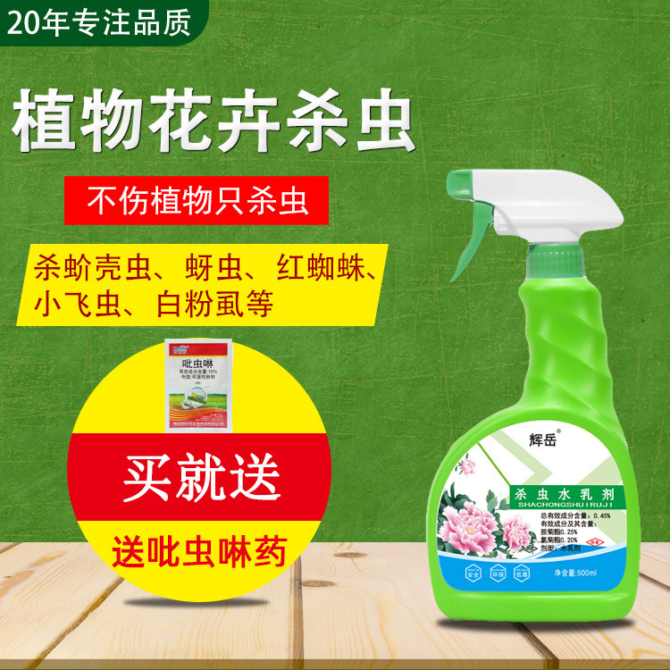 室内植物除虫价格 室内植物除虫图片 星期三