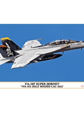 长谷川 02458 F/A-18F 超级大黄蜂 