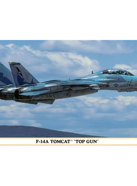 长谷川 02293 F-14A 雄猫 舰载战斗机