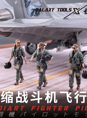 GALAXY MODEL/星河模型F48005 F-35A/B/C 3D打印战斗机飞行员