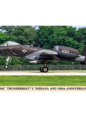 长谷川 02409 A-10C Thunderbolt II 