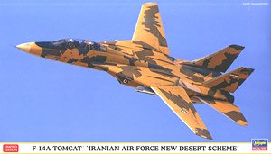 长谷川伊朗空军雄猫战斗机沙漠