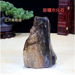 新疆木化石原石 盆景石 鱼缸石 假山石  石头 精品奇石自然石头