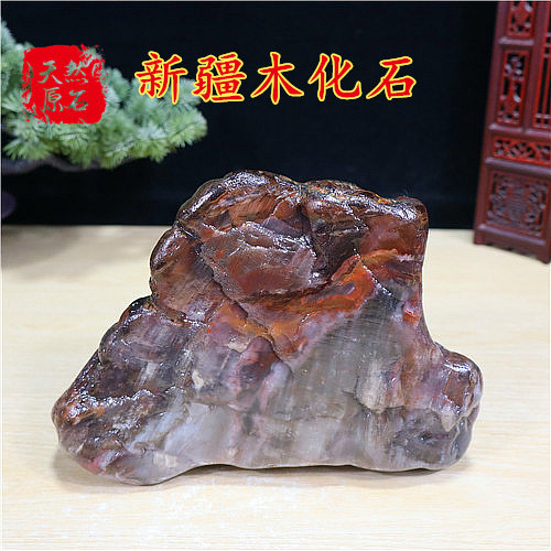 新疆木化石原石 盆景石 鱼缸石 假山石  石头 精品奇石自然石头