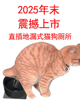 纵观全网！没发现比这更小猫厕所