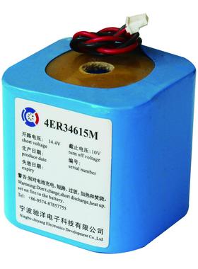 驰洋Saracom EB-10无线电示位标电池 4ER34615M CCS证书