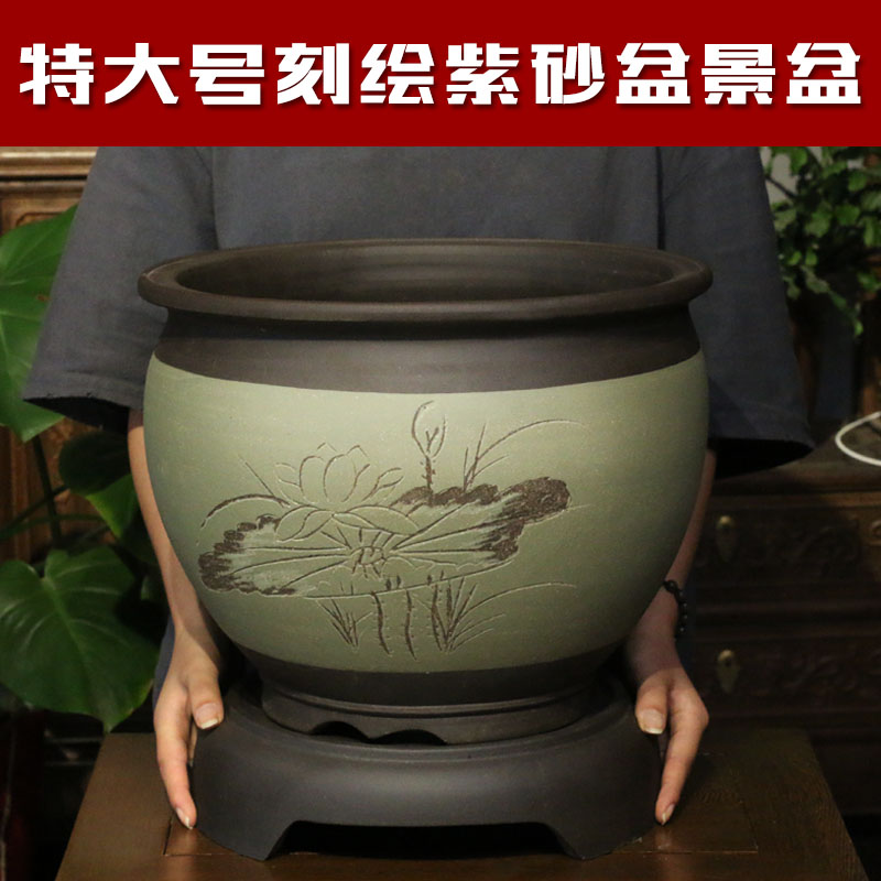 宜兴紫砂花盆绿萝吊兰盆栽花卉粗