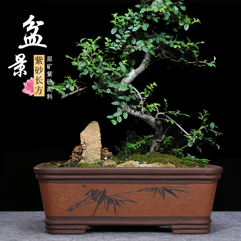 长方形花盆陶瓷大号特大号盆景盆紫砂花盆假山老桩超大盆景盆包邮