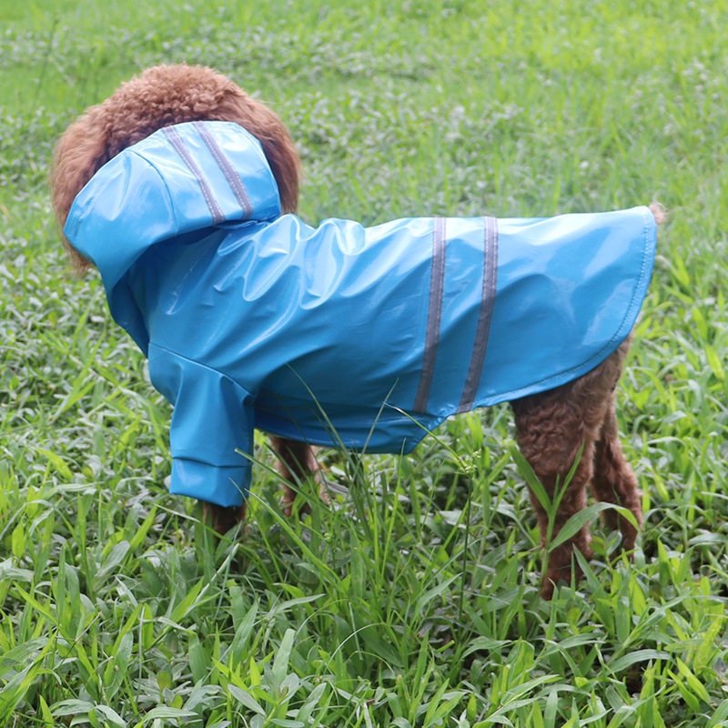 狗狗雨衣四脚防水全包泰迪比熊猫咪宠物的小型中型犬小狗衣服雨披