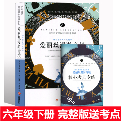 爱丽丝漫游奇境记正版四五六年级下册原版卡罗尔原著完整版 爱丽丝梦游仙境书语文课程同步阅读小学生6年级读 文化发展出版社