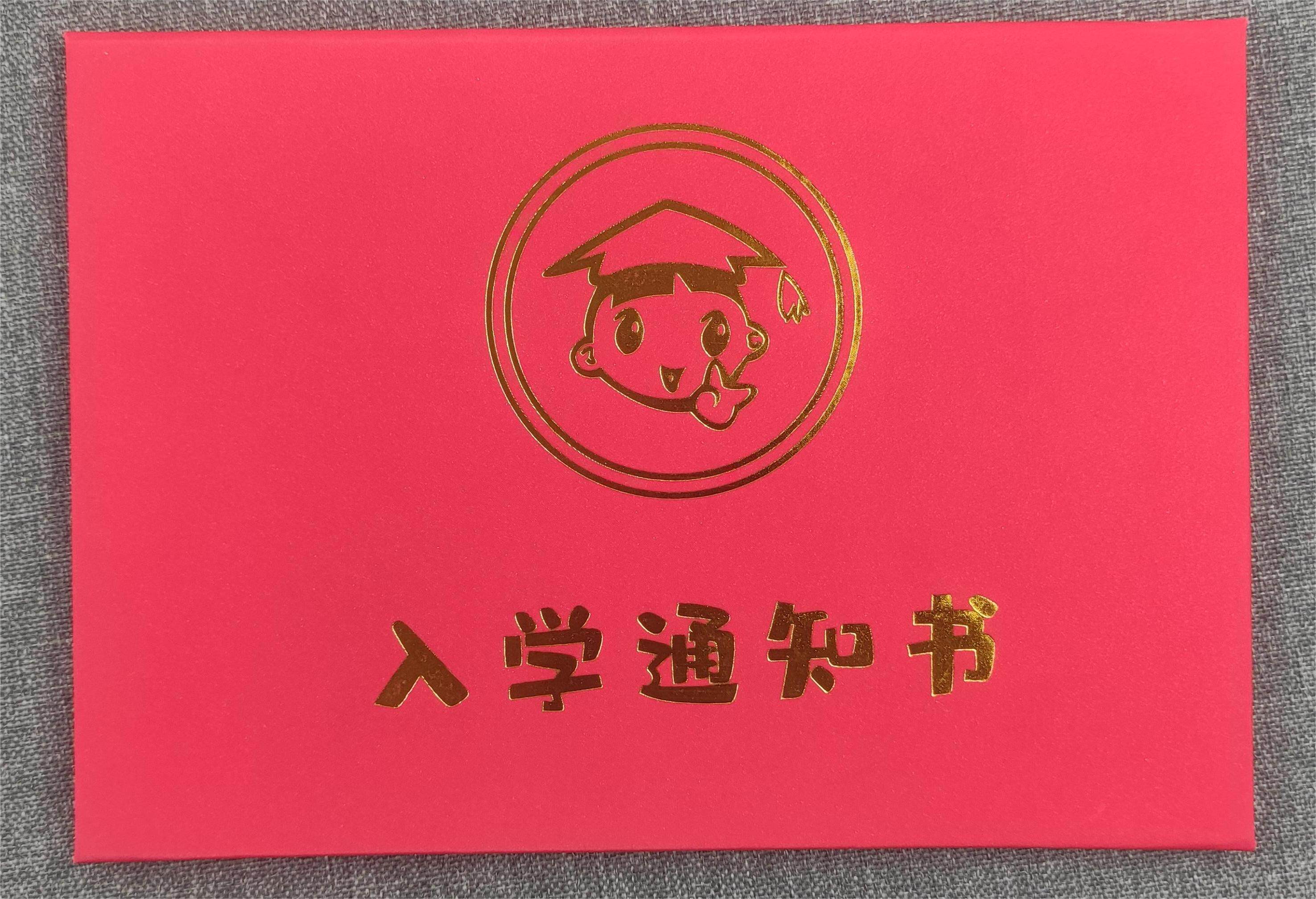 幼儿园入园通知书 新生开学入学通知 毕业证 烫金高档精装硬壳带封面