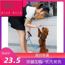 狗链子泰迪比熊幼犬可调节项圈1