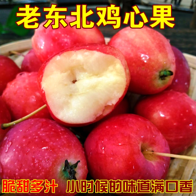 东北吉林鸡心果现摘现发脆甜多汁