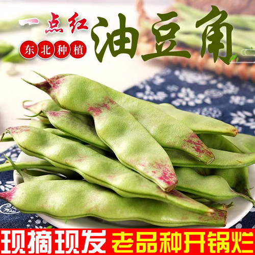 东北一点红油豆角现摘新鲜蔬菜