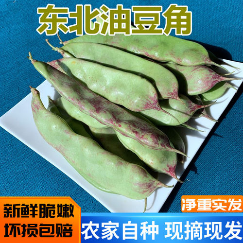 一点红油豆角开锅烂当季现摘现发