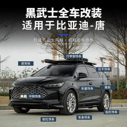 适用于比亚迪唐黑武士套件改装车身车窗饰条行李架前中网全车黑化