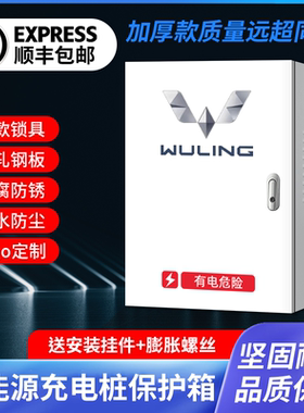 五菱新能源miniEV宝骏E200充电桩保护箱专用汽车防护箱立柱电箱