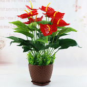 仿真绿植红掌假花客厅装 包邮 饰绿色植物落地塑料假花摆设盆栽盆景