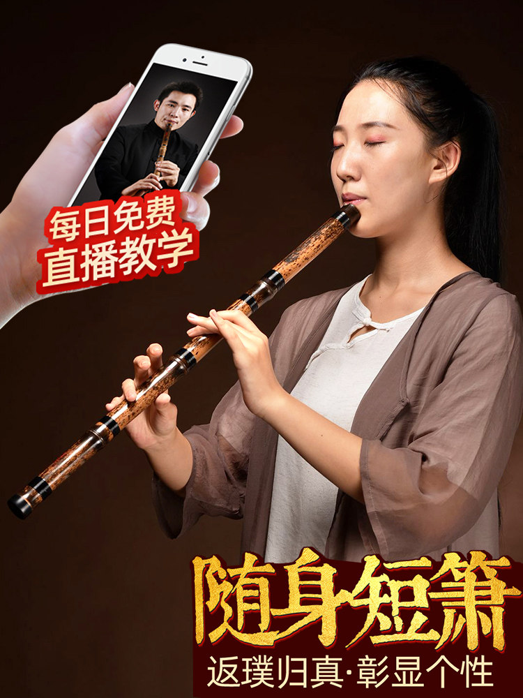 短箫竹萧乐器入门初学专业演奏紫竹洞箫高档洞萧八孔六g调f古潇笛