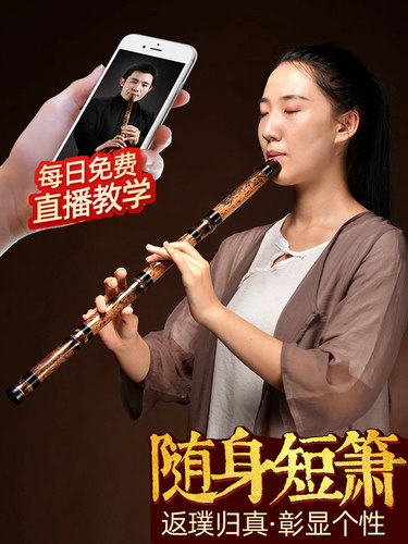 短箫竹萧乐器入门初学专业演奏紫竹洞箫高档洞萧八孔六g调f古潇笛