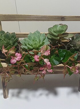 室内创意木椅子花盆花架