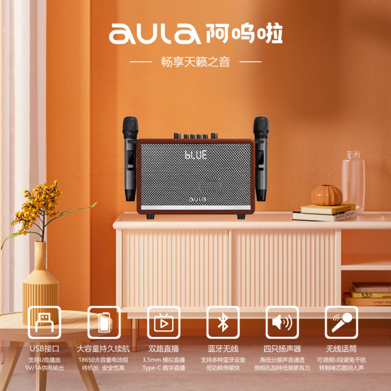 阿呜啦户外蓝牙音响重低音K歌便携音箱AK812无线麦克风广场舞唱歌