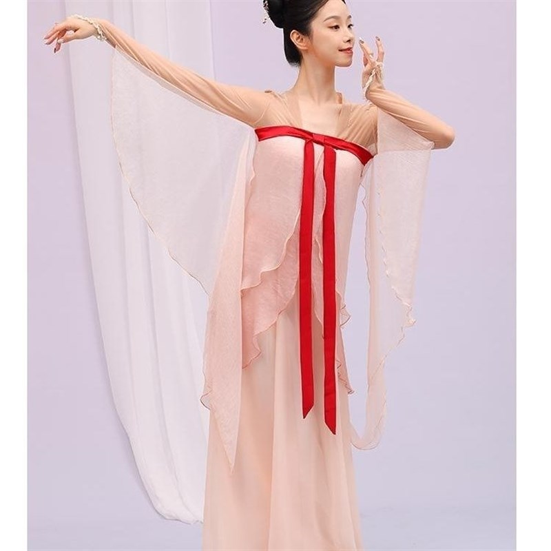 新品花尖古典舞和离书舞蹈服演出服飘逸花瓣N裙艺考剧目成人舞蹈