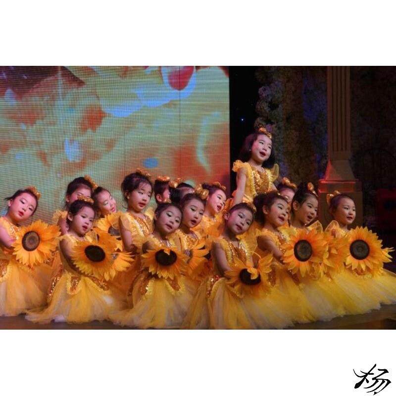 新品小荷风采花儿朵朵向太阳舞蹈服装儿,童表演演出舞台服向日葵
