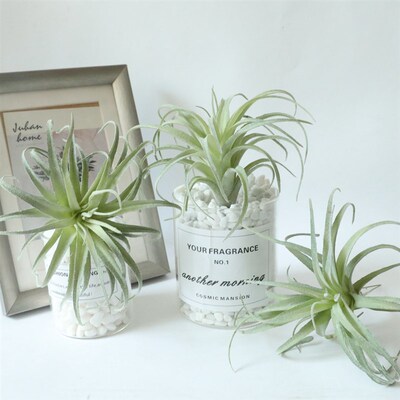 凤梨草仿真花厂家空气草家居装饰婚庆手捧花墙植物墙假花MW17691