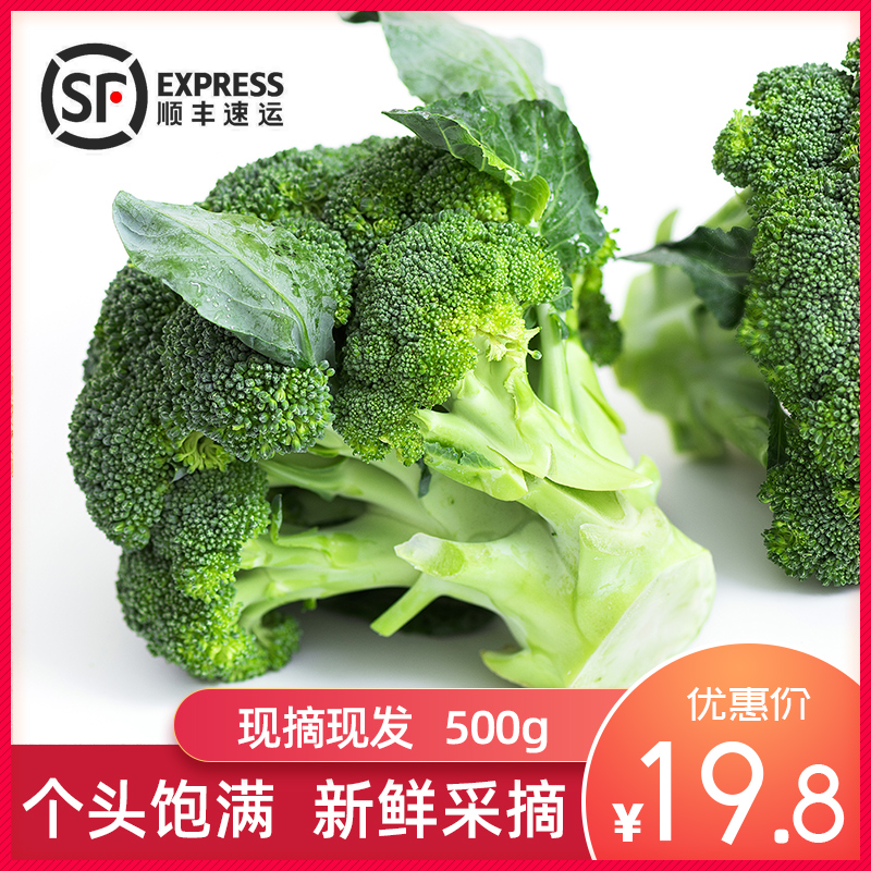 绿源禾心生态西兰花时令蔬菜500g