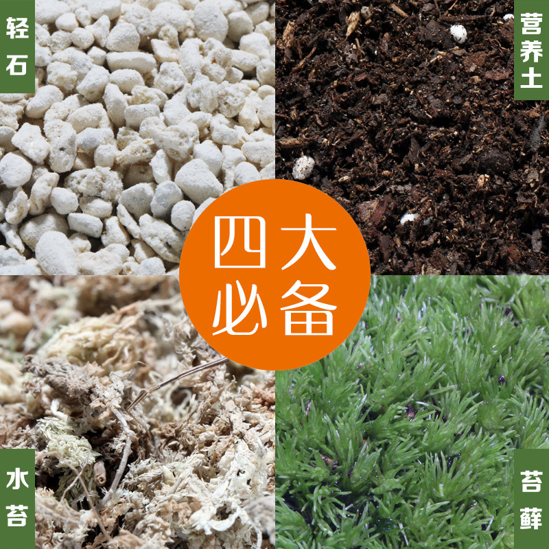 苔藓微景观diy材料包 微景观生态瓶制作营养土轻石水苔苔藓|ruв категории доставка цветов/цветок моделирования/растения садоводства, садовых принадлежностей, домашнее садоводство удобрений/питательной почвы/питательный раствор - от Buy2taobao.com для оказания профессиональной услуги покупки агента Taobao