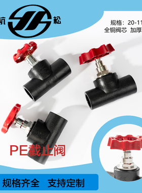 PE截止阀升降式截止阀卡簧式截止阀闸阀开关全铜阀芯热熔承插阀门