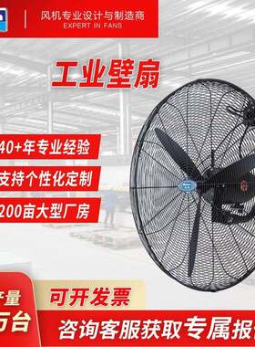 德通工业风扇DF强力电风扇速挂墙扇可摇头壁扇壁挂式风扇