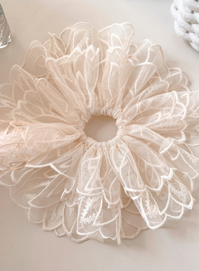 法式气质白色蕾丝大肠发圈女高级感重工复古发绳超大扎头发头饰