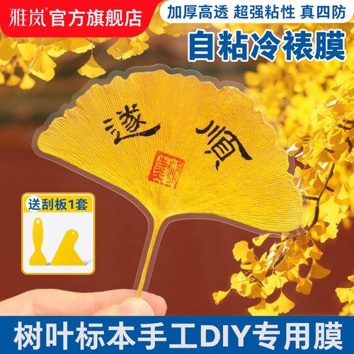 自粘冷裱膜树叶昆虫蝴蝶标签标本照片塑封膜高光哑光自粘海报保护膜植物标本相片冷膜6寸 5寸 A4镭射冷裱膜